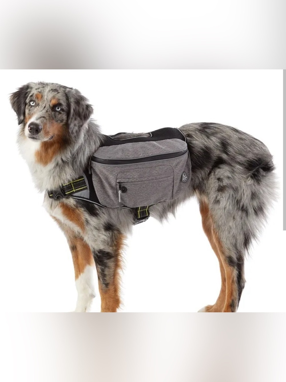 NEW Arcadia Trail Dog Harness Reflective Backpack Mesh lightweight grey S M pet